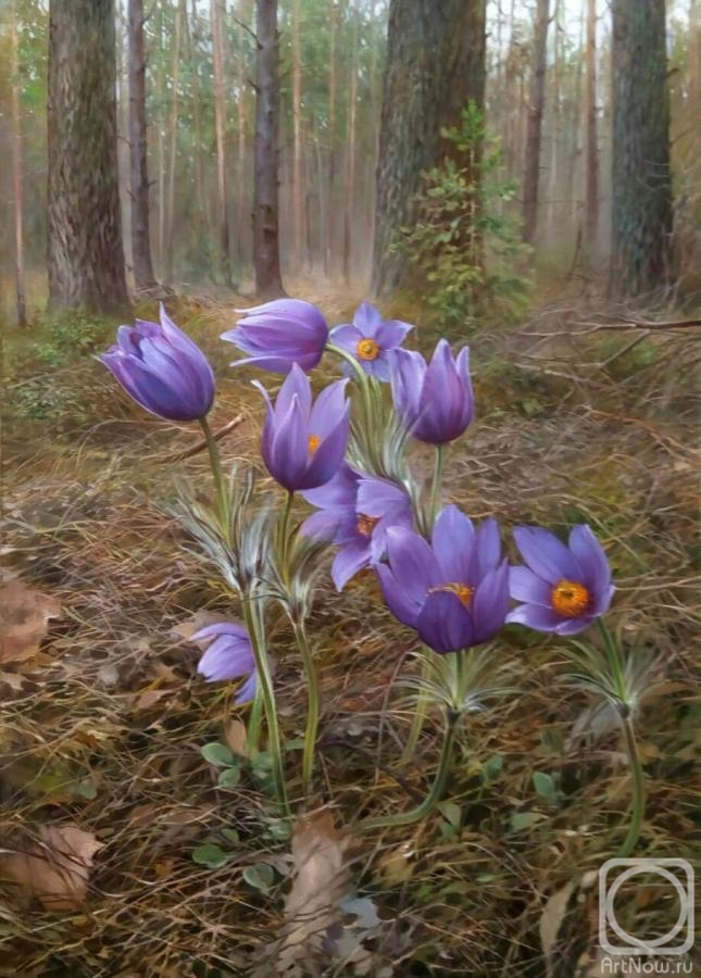 Palachev Vyatcheslav. In the may woods