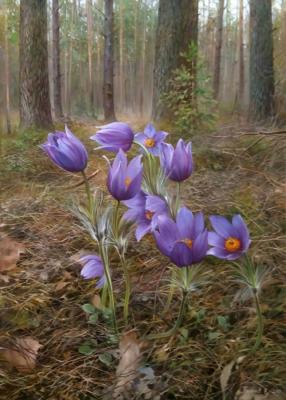 In the may woods. Palachev Vyatcheslav