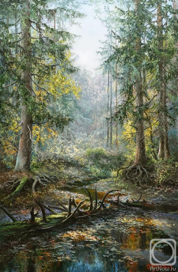 Burmakin Evgeniy. Forest stream