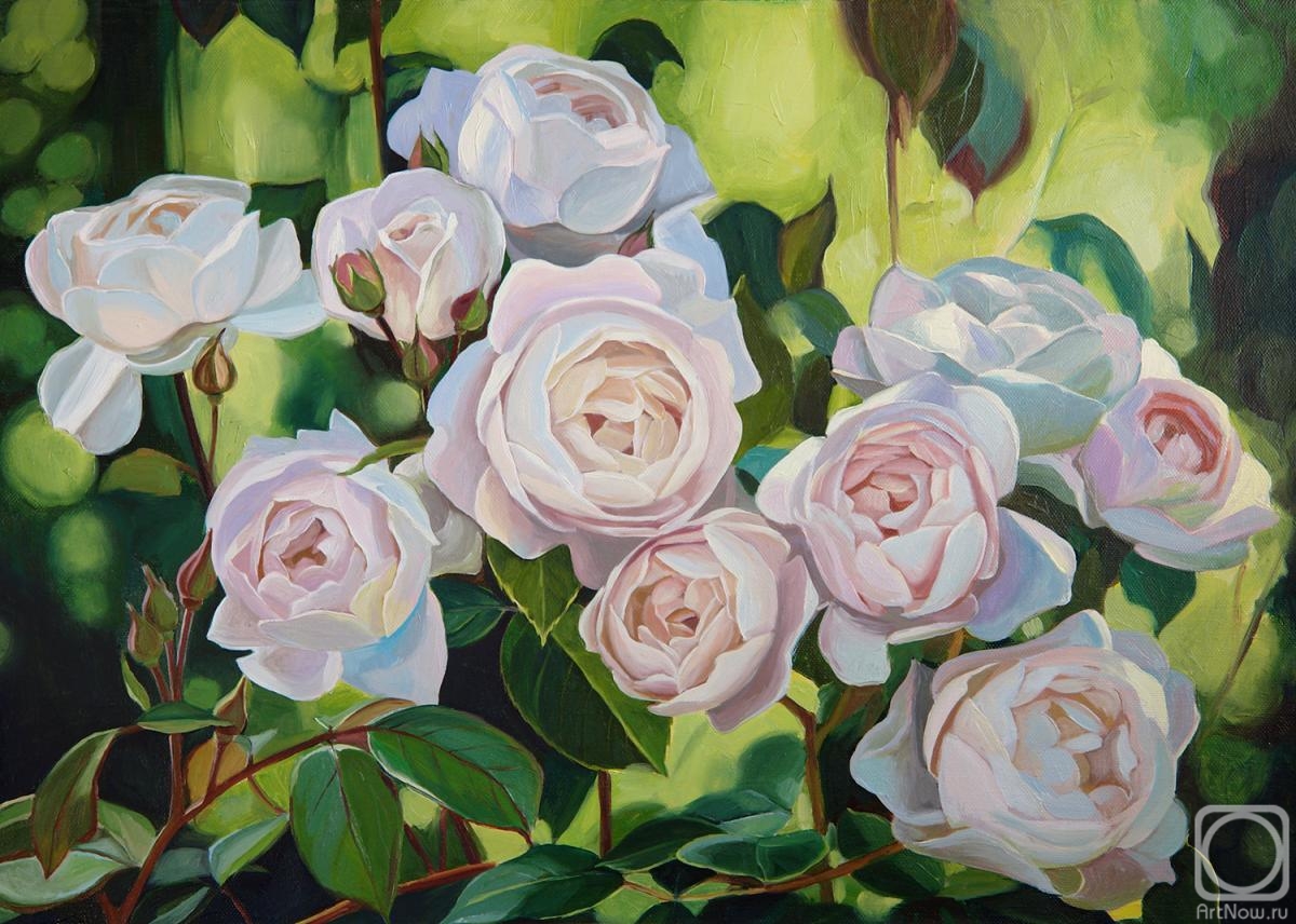 Vestnikova Ekaterina. White roses in the garden