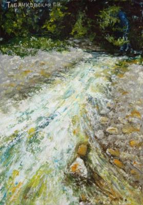 Mountain river. Stormy stream