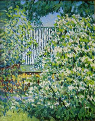 Jasmine blooms. View of the house with a green roof. Homyakov Aleksey