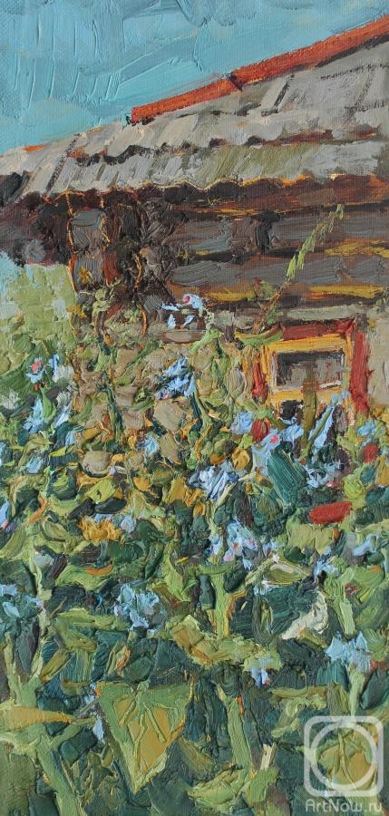 ������� ������ �� ������. ������� �������. ���, ��� ����� �����