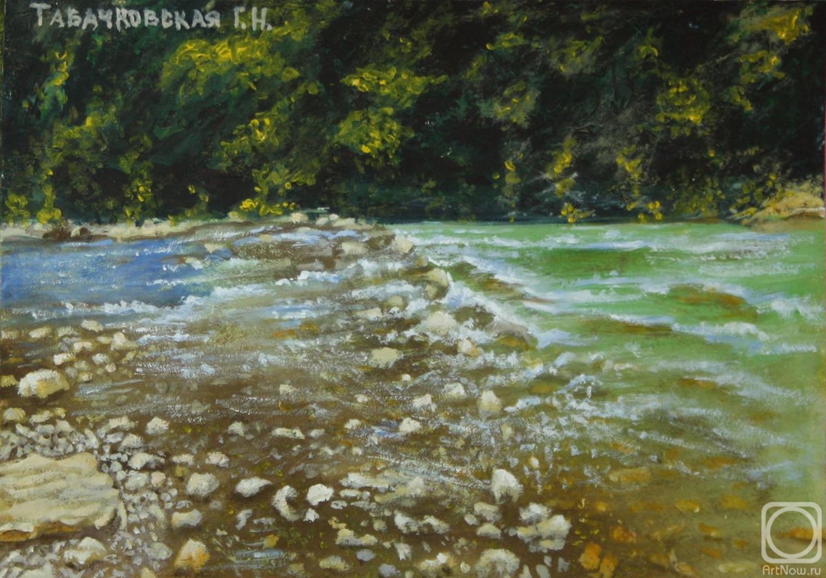 Kudryashov Galina. Mountain river. The river runs by pebbles