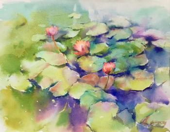 Pond with water lilies. Gnutova Olga