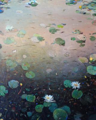 Water flowers. Pavlenko Aleksandr