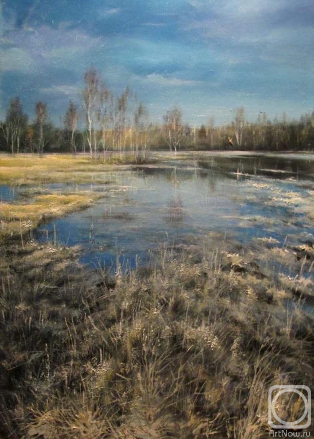 Talykin Michail. Early spring. High water