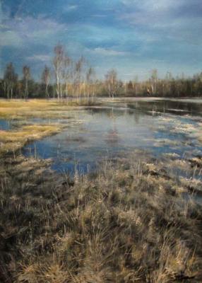 Early spring. High water. Talykin Michail