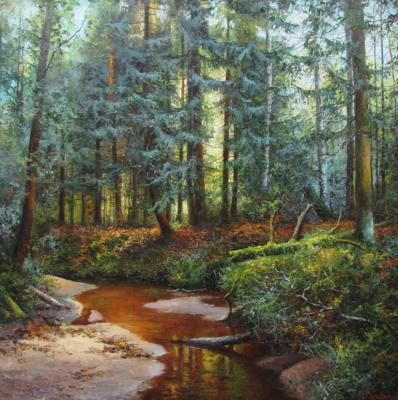 Stream in the forest. Burmakin Evgeniy