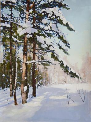 Winter landscape. Kugel Aleksandr