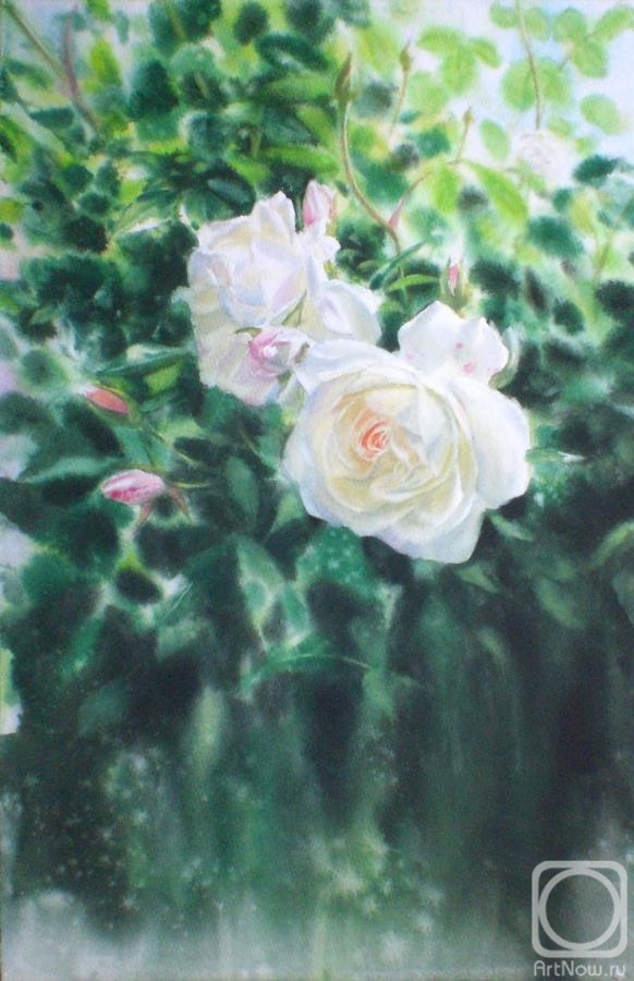 Golubkin Sergey. White rose (etude)