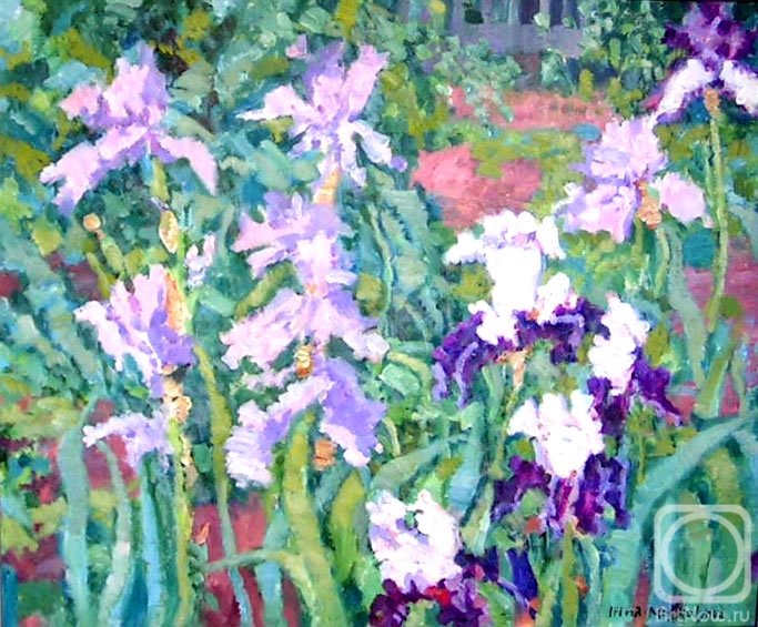 ������� ������ �� ������. �������� �����. �����