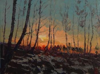 Frosty dawn. Golovchenko Alexey