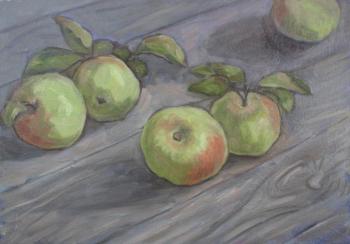 Apples (sketch). Illarionova-Komarova Elena