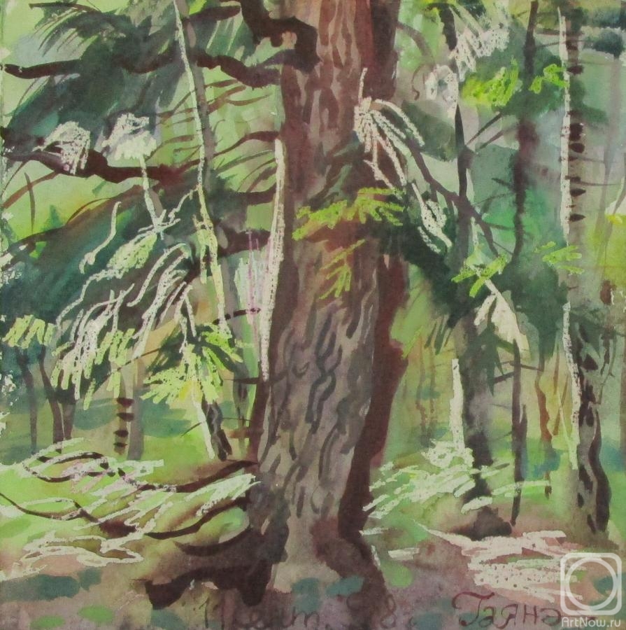 Dobrovolskaya Gayane. In the forest, September 11, 1998