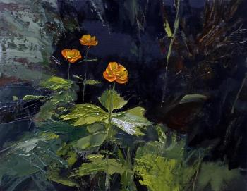 globe-flower. Babichev Leonid
