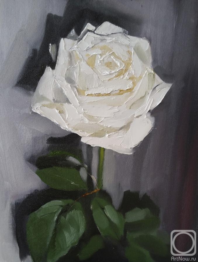 Babichev Leonid. the Rose