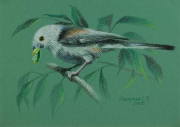 Long-tailed tit. Khrapkova Svetlana