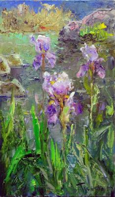 Irises. Zhumabaev Tuman