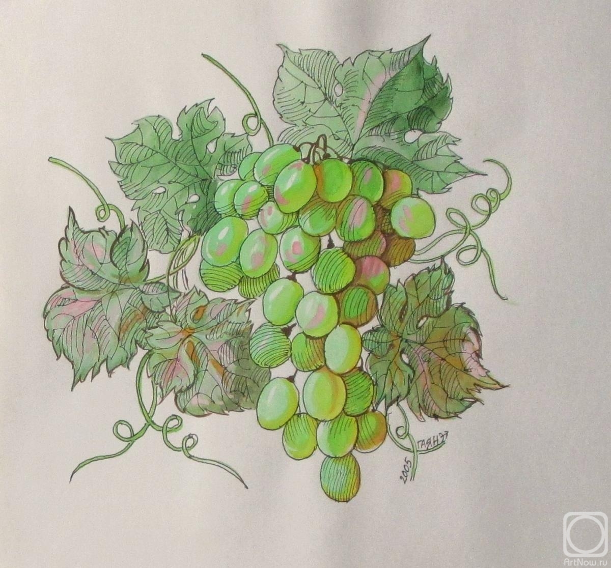 Dobrovolskaya Gayane. Green grapes