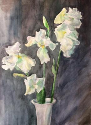 Study with white irises