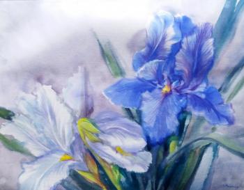 Irises in July. Mikhalskaya Katya