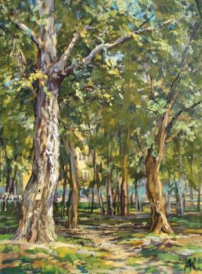 Trees in pavlino. Kovalevscky Andrey