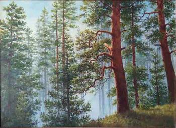 Wake forest. Drobinin Alexandr