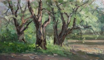 ������ �����. �������������� ������