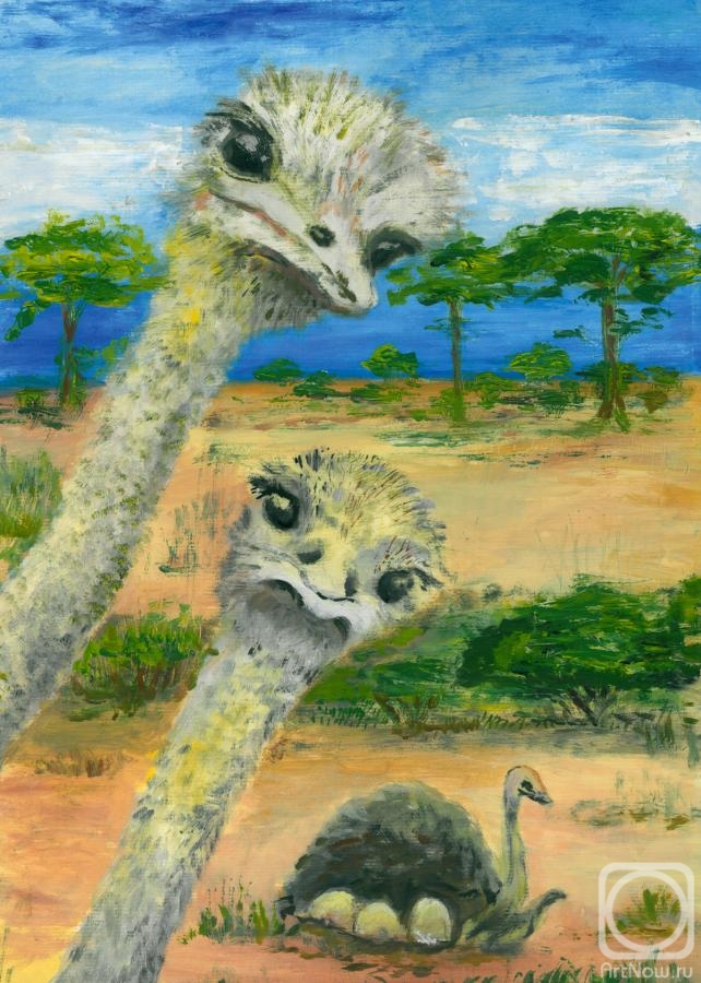 Dovbysh Yuliya. Ostriches