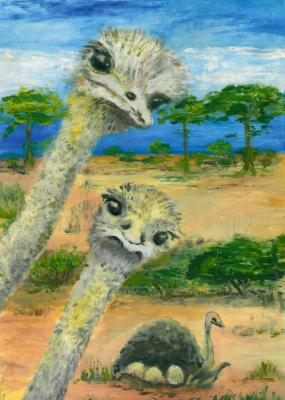 Ostriches. Dovbysh Yuliya