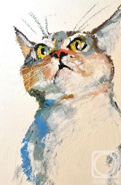 �������. �������� ���������. ����