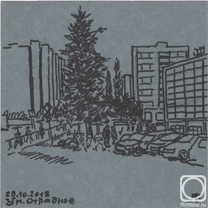 �������. ������� ���������. ��������