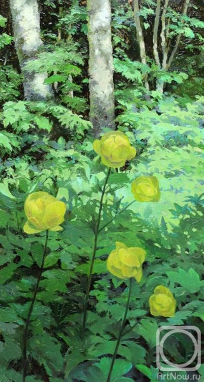 �������. ������� ����. ���������� (����)