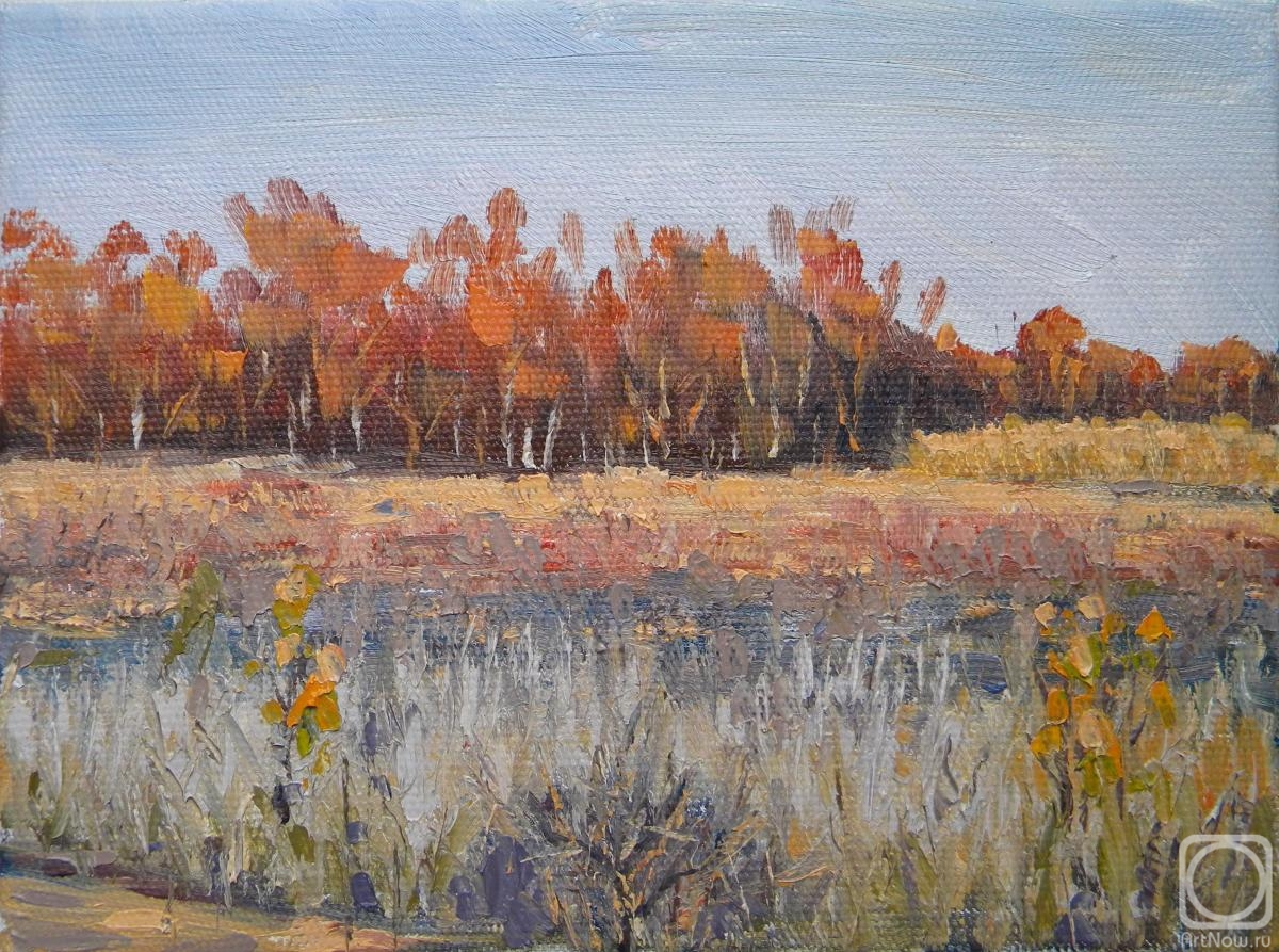 ������� ������ �� ������. ������ ������. ����� �������� ����