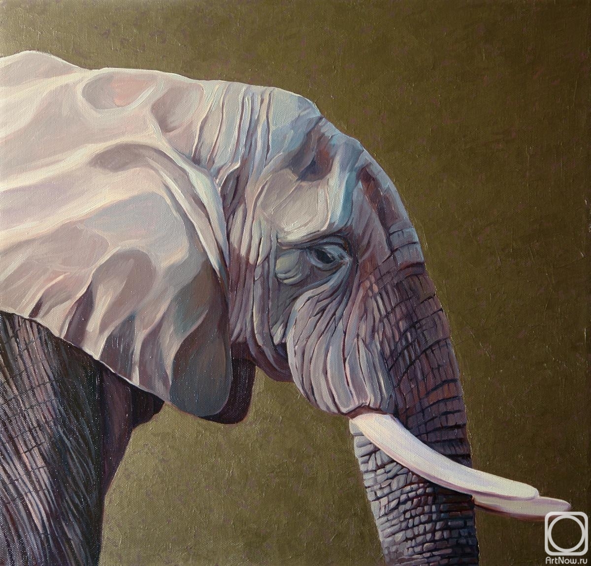 ������� ������ �� ������. ���������� ���������. ����