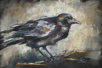 Crow (Black Raven). Gerdt Irina
