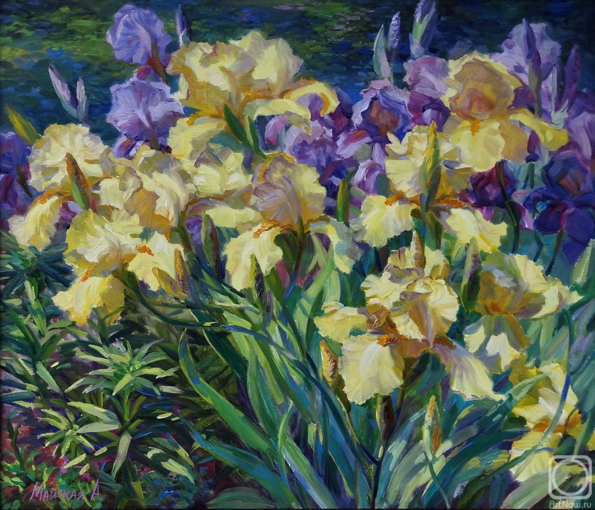 Maiskaya Alla. Irises