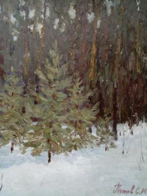 Christmas trees. Popov Sergey
