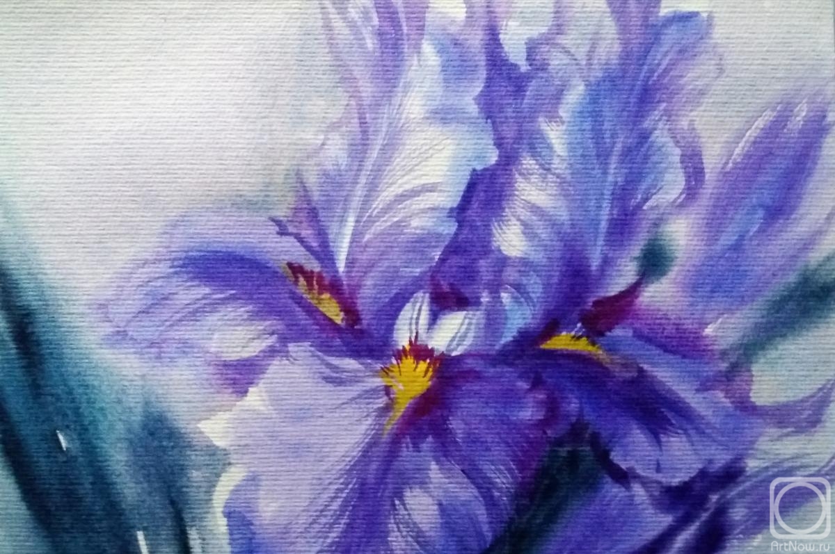 �������. ���������� ���������. ����