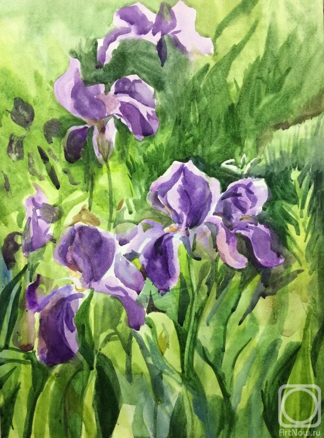 Tsebenko Natalia. Sketch of purple irises
