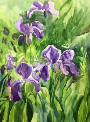Sketch of purple irises