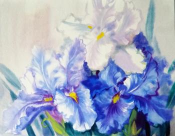 Irises in the spring (Michalski). Mikhalskaya Katya