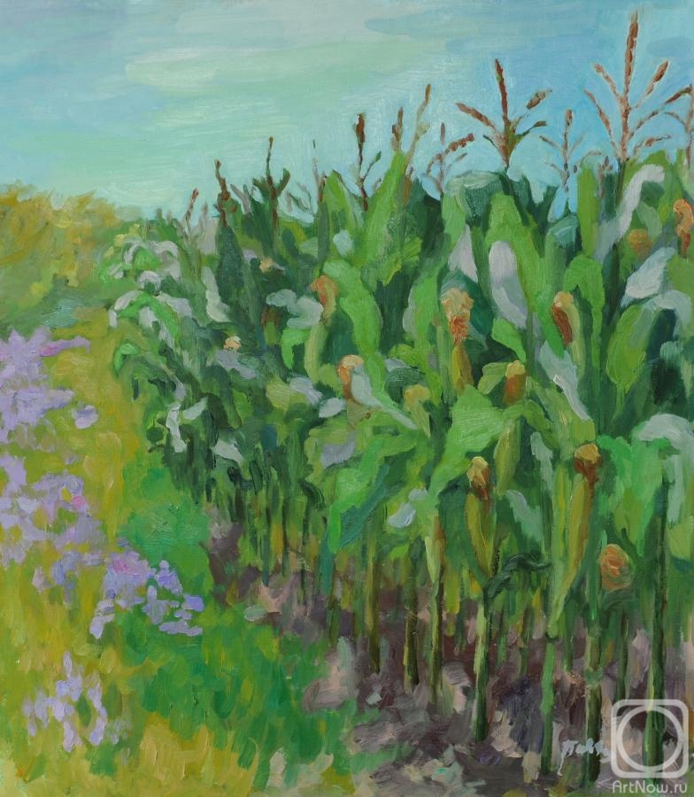 Yavisheva Tatiana. Corn
