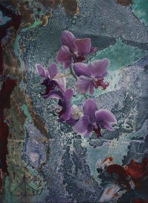 Pink Orchid. Dolinsky Vadim