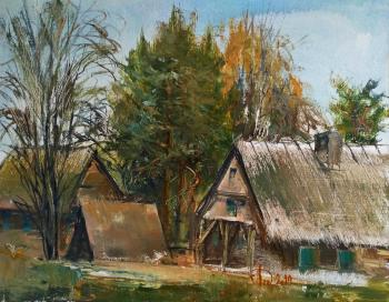 Polish village. Lednev Alexsander