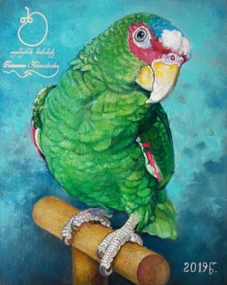 Parrot Pulie. Kharabadze Teimuraz