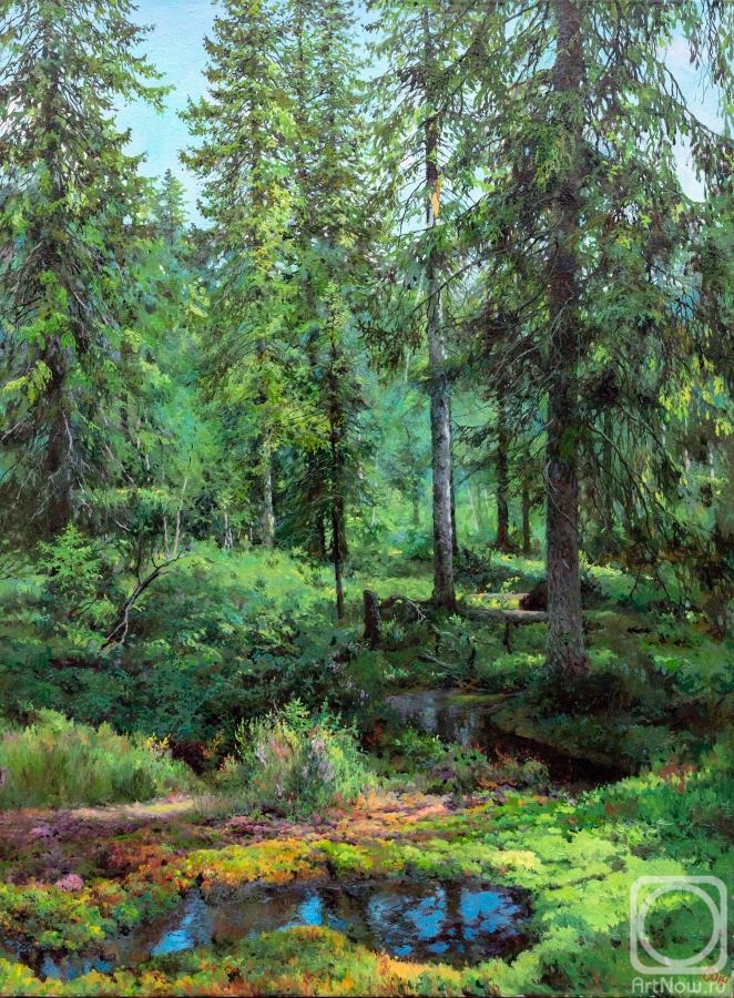 Sergeev Oleg. Karelian trails. Broken birch