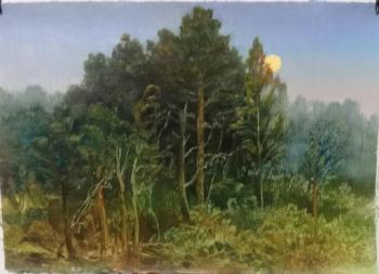 Moonrise over the forest. Mihajljukov Nikolay