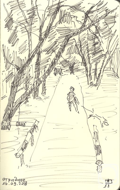 �������. ������� ���������. ��������